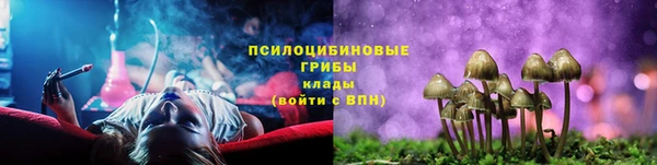 сатива Алексеевка