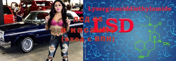 кокс Алзамай